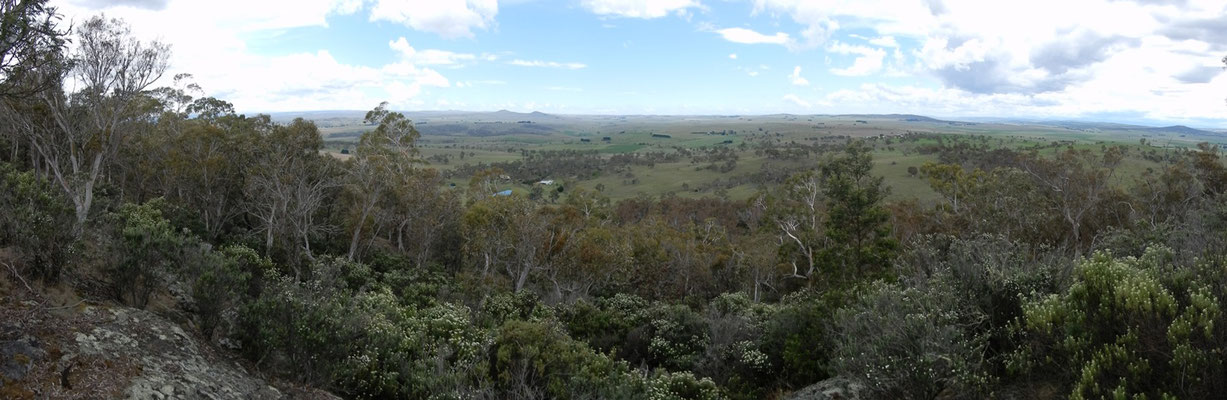 Blick vom Mount Gladstone Lookout bei Cooma