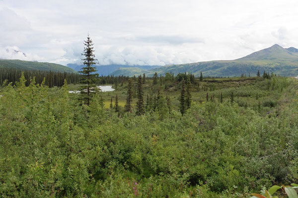 Die Alaska Range