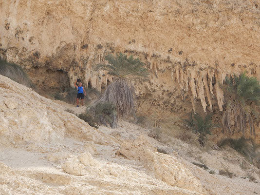 Shuwaymiah-Wadi - riesige Stalaktiten