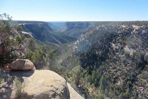 Navajo Canyon