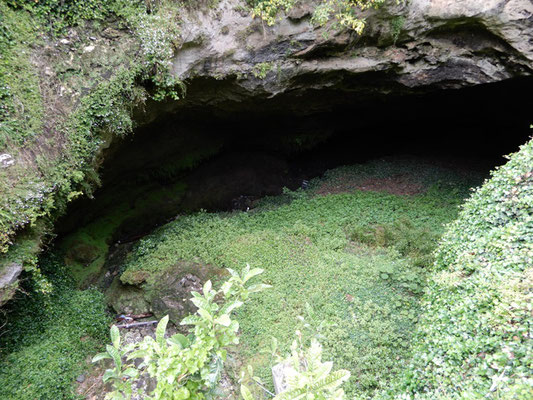 Cave Garden Sink Hole mitten in der Stadt