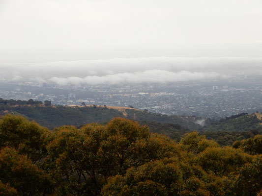 Ausblick vom Mount Lofty (710 müM) auf Adelaide (unter den Wolken)