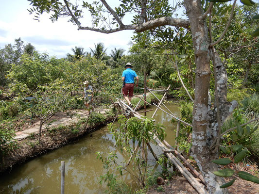 über eine Bambus-Brücke durch den Dschungel