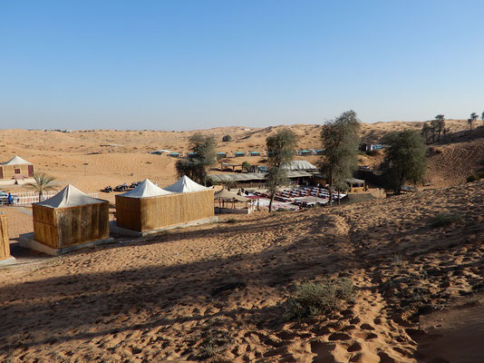 Bedouine Oasis