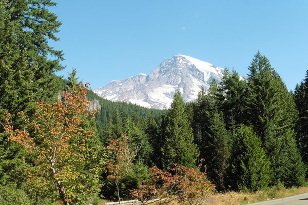 Mount Rainier vom Longmire Visitors Center aus