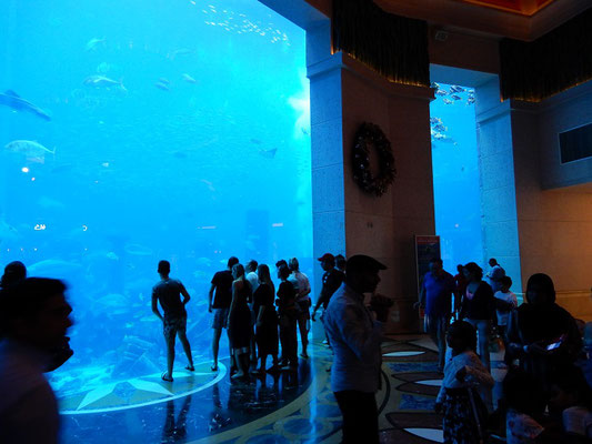 Atlantis-Aquarium