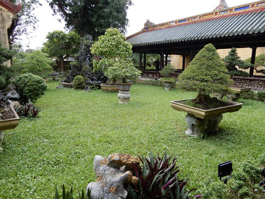 Bonsai-Garten im Königspalast