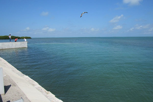 Das Meer vor den Florida Keys