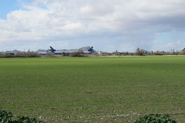 Penal Air Park - Flugzeugfriedhof