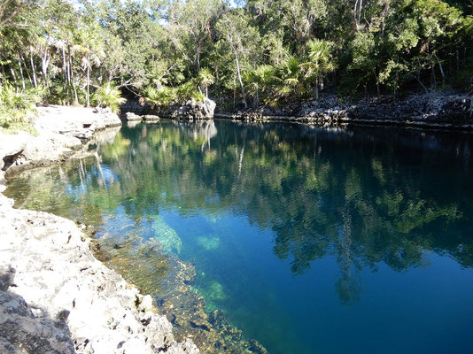  Cenote de los Peces - eingestürzte Karsthöhle etwa 70 m tief