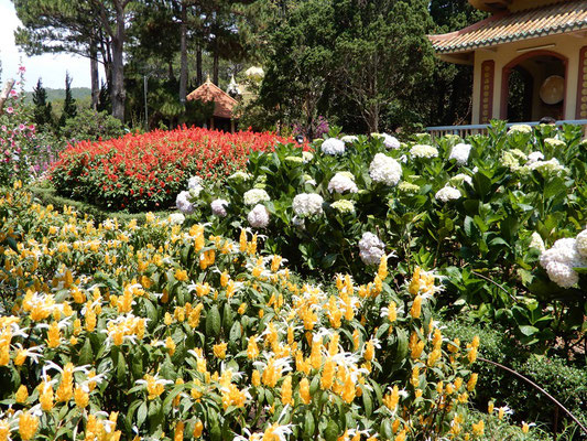 Blumengarten beim buddhistischen Kloster Truc Lam