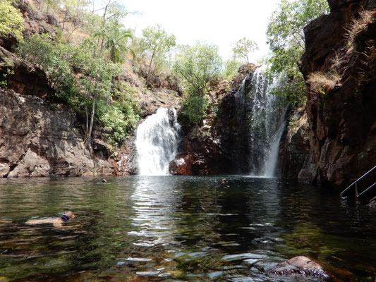 Florence Falls