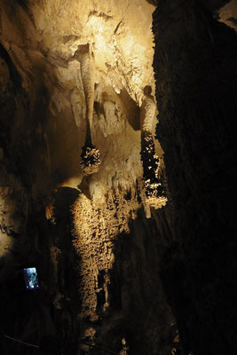 Carlsbad Caverns - Löwenschwänze