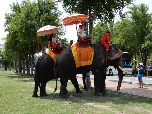 Die Chinesen lieben Elefantenreiten