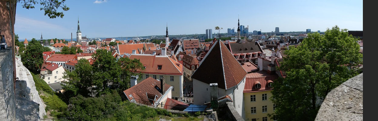 Blick über die Altstadt