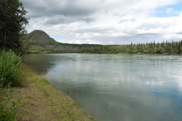 Yukon River bei Carmacks