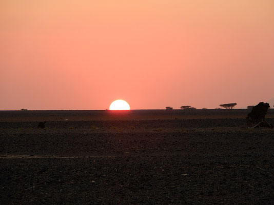 Ein fast afrikanscher Sonnenuntergang