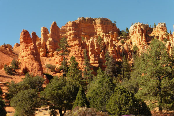 Red Canyon