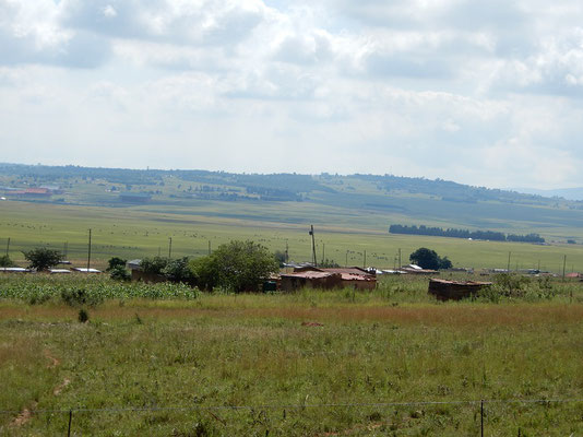 Blick nach Swasiland - die Hütten gehören bereits dazu