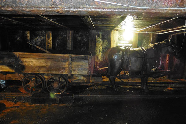Kohlemine von Glace Bay - mit solchen Pony-Trolleys wurde die Kohle nach draussen geschafft