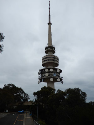 Telstra Tower auf dem Black Mountain