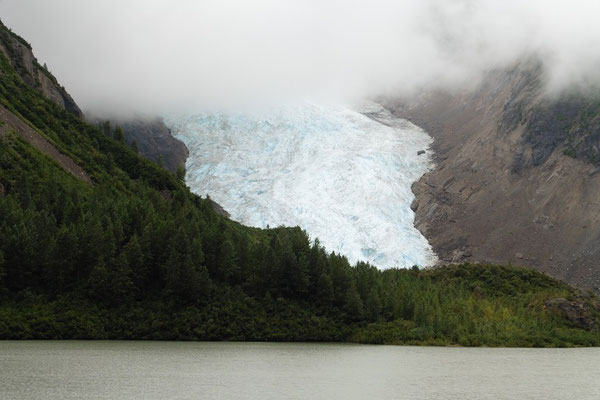 Bear Glacier kurz vor Stewart