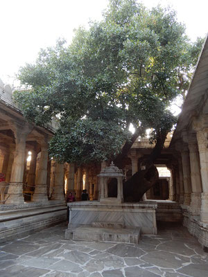 Jain-Tempel von Ranakpur