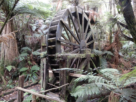 Mitchells Gully Gold Mine