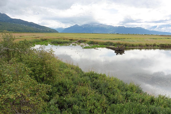 Marsh-Landschaft vor Anchorage