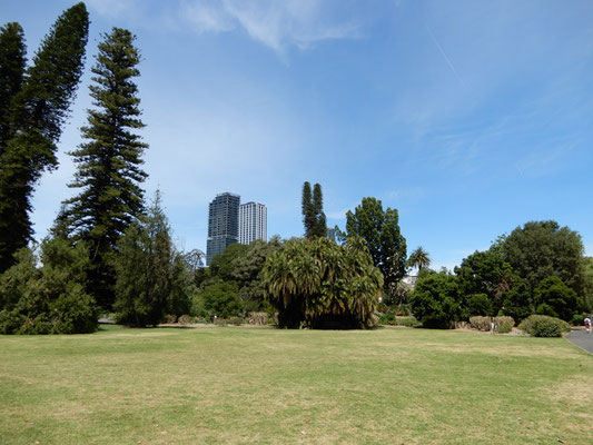 Botanischer Garten