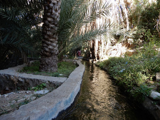 Oase mit Bewässerungskanal in Mazara