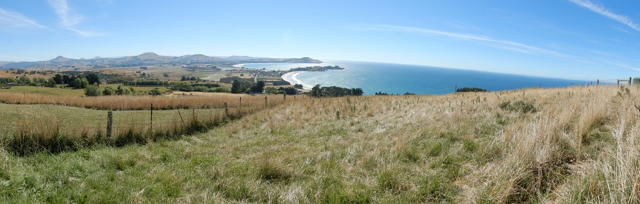 Küstenabschnitt nördlich von Dunedin