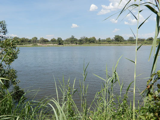 Okavango Fluss