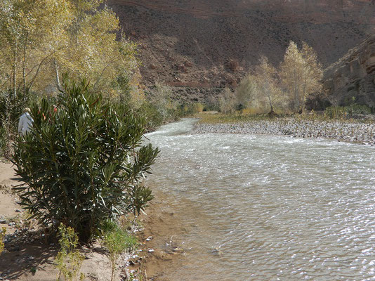 Dades-Fluss oberhalb der Schlucht