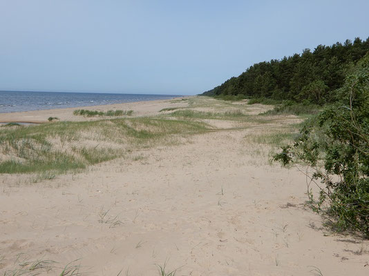 Am Ostseestrand bei Salacgriva LV