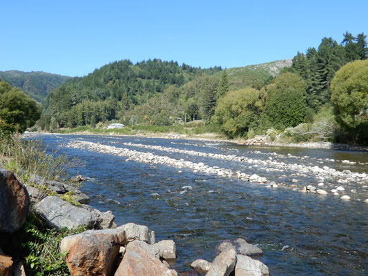 Inangahua River bei Reefton