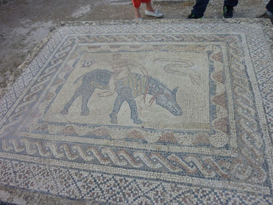 Gut erhaltene Mosaike