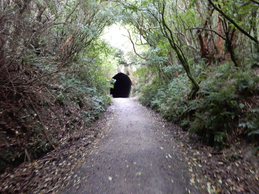 Tunnel Hill, alter Bahntunnel mitten im Wald