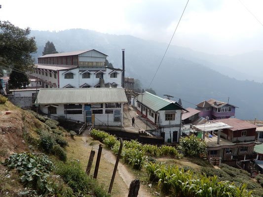 Die Teefabrik in Darjeeling