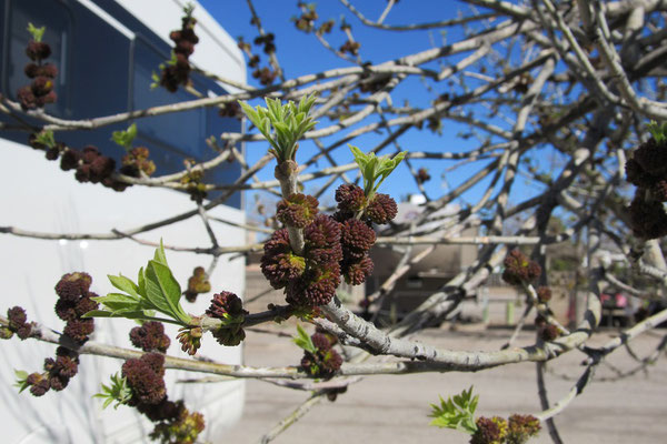 Der Frühling ist angekommen