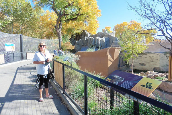 Albuquerque - Zoo