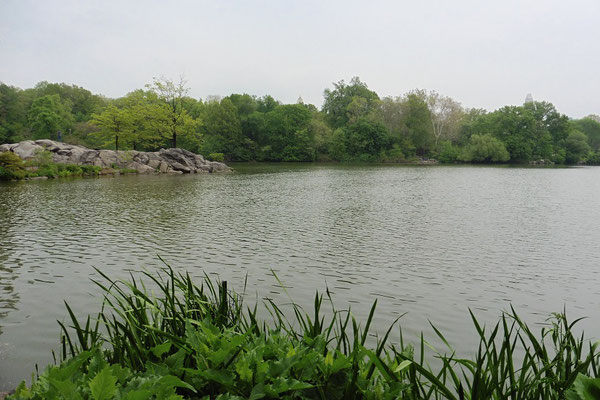 The Lake im Central Park