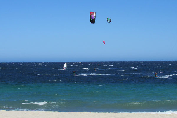 Kite-Surfer in Los Barriles