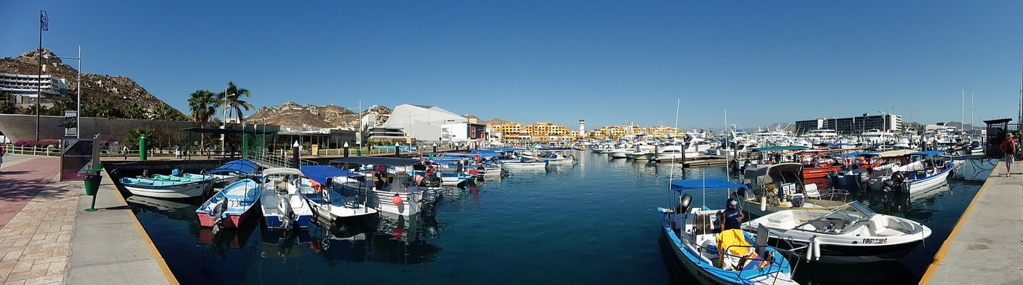 Marina von Cabo San Lucas
