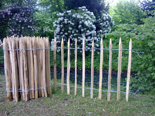 10 Meter Rolle Kastanienzaun Höhe 80 cm / 8 cm Drahtwicklung