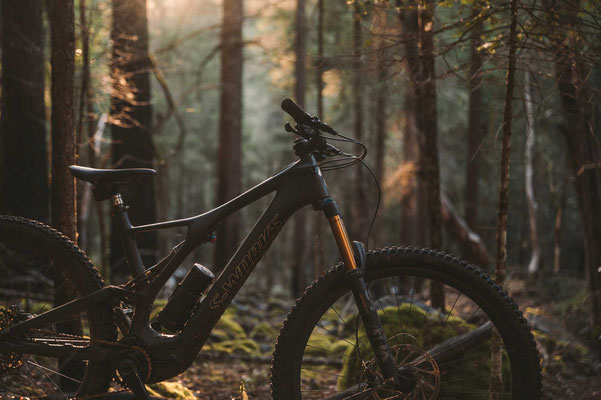 E Bike Verleih Munster E Motion E Bike Experten