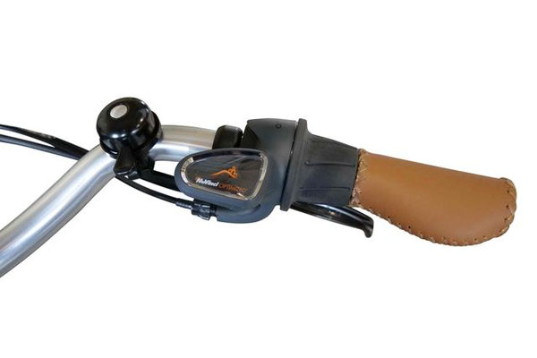 Babboe Lastenfahrrad mit Elektromotor Carve Mountain NuVinci 330 stufenlose Schaltung