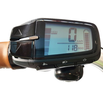 Babboe Curve Mountain Lastenfahrrad mit intuitives Display
