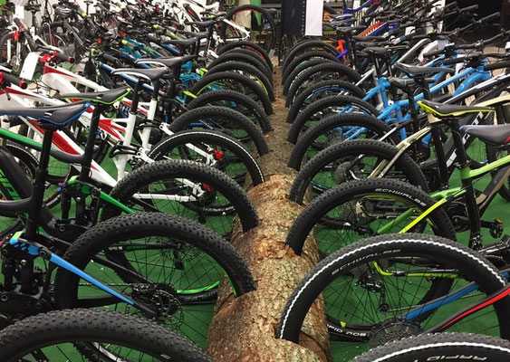 e-Bikes leasen in Ravensburg