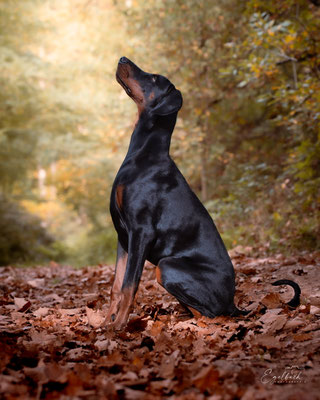 AMBER DELLA GUARDIA NÉRA
